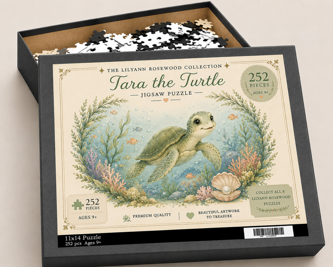 Tara the Turtle puzzle with illustrated box